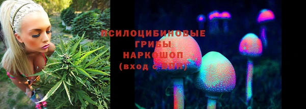 ALPHA PVP Новодвинск