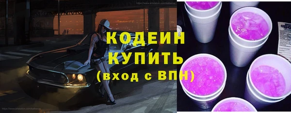 крисы Новокубанск