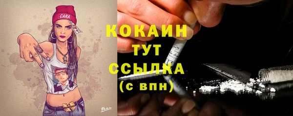гидропоника Новозыбков