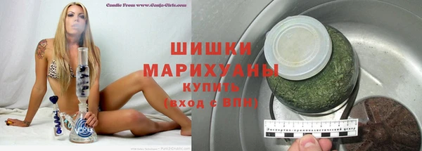 крисы Новокубанск