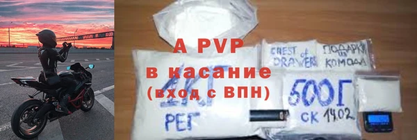 крисы Новокубанск