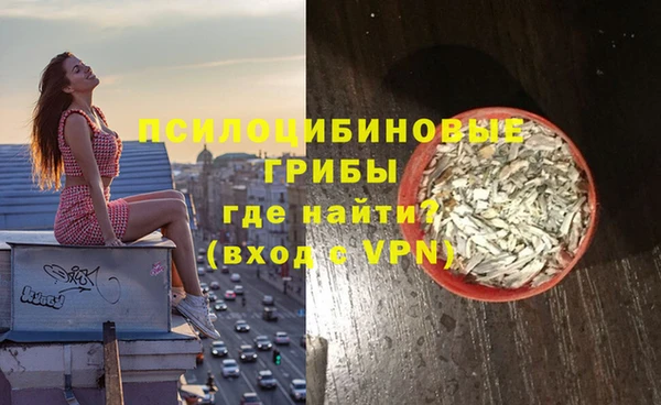 ALPHA PVP Новодвинск