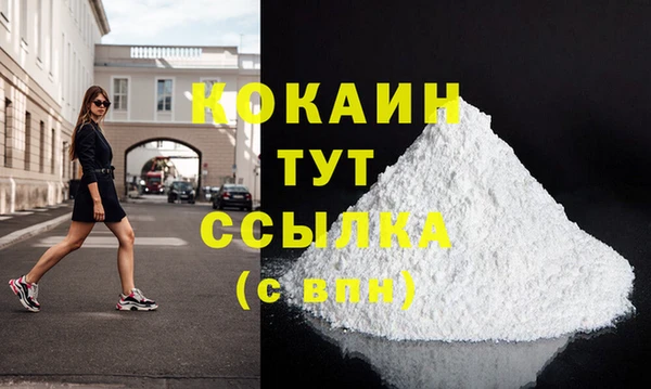 крисы Новокубанск