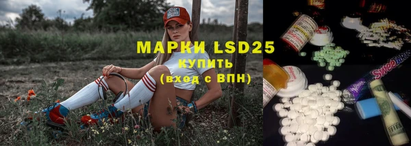 гидропоника Новозыбков