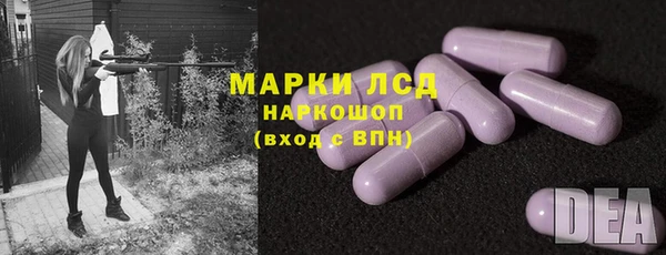 гидропоника Новозыбков