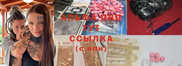 крисы Новокубанск